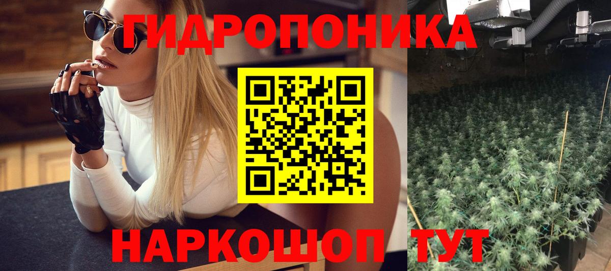 Марихуана тримм  Бошки Шишки White Widow  Вход с VPN  Шишки марихуана гибрид  Моршанск 
